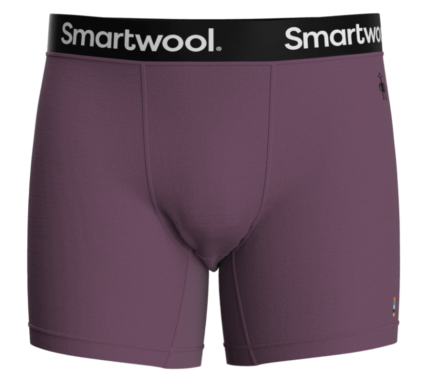 Smartwool - Men's Merino Sport 150 Boxer Brief